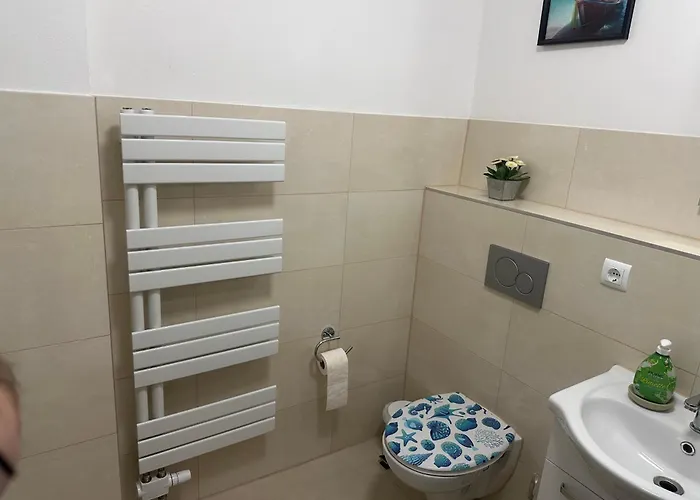 公寓 Ferien Aachen-wuerselen G5 伍尔瑟伦